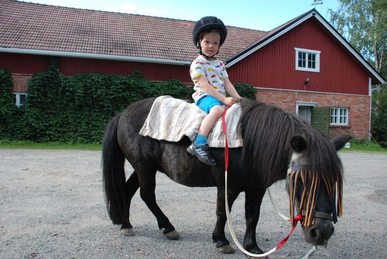 Siirilaen Tila Konuk evi Seinäjoki Dış mekan fotoğraf